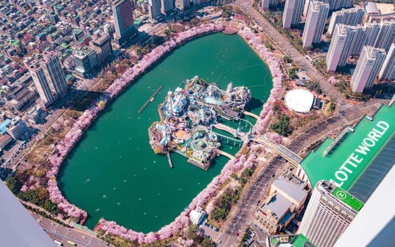 Seoul: Lotte World Adventure Entry Ticket - Who Will Love Lotte World Adventure?