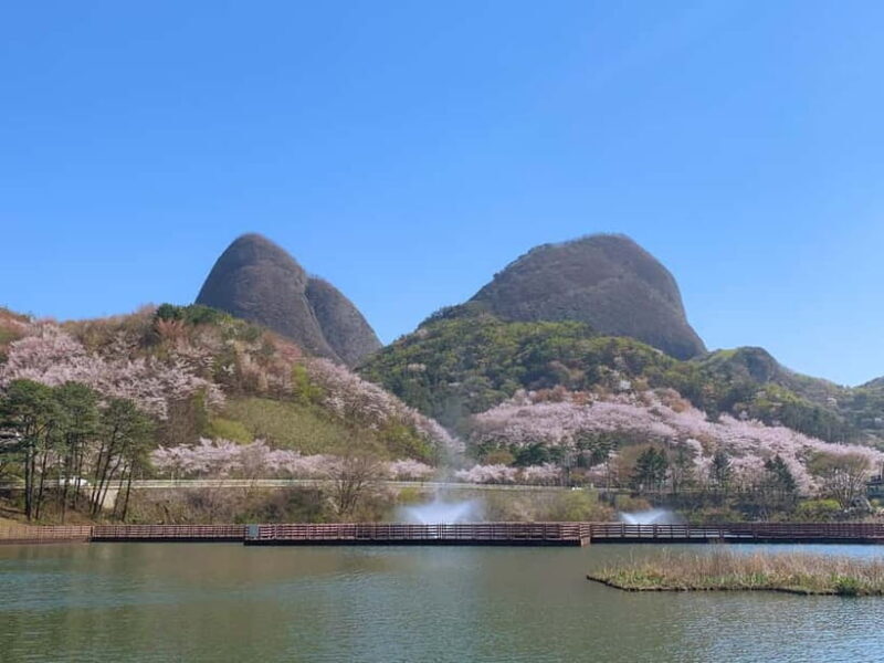 Seoul: Maisan Cherry Blossom and Jeonju Hanok Day Tour - Good To Know