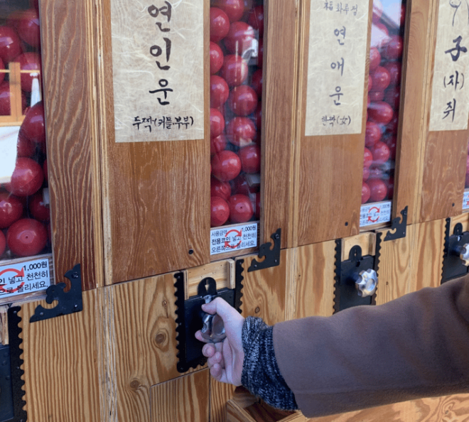 Seoul: Michelin & Bizarre Food Tour - Participation Requirements