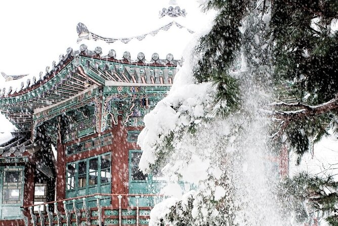 Seoul Mini-Van Tour, Explore Real Korea From Past to Future - Accessibility Details