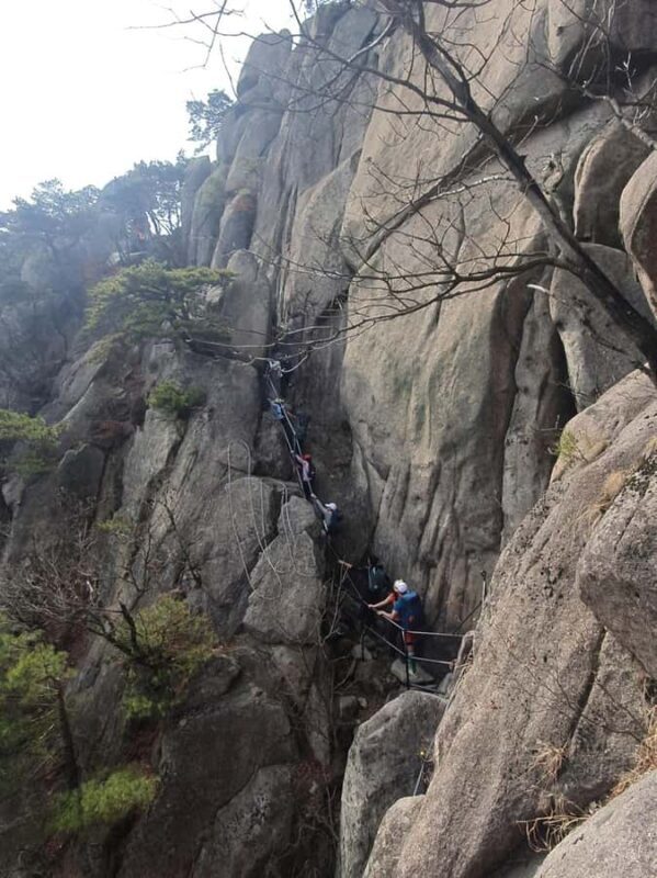 Seoul: Mt. Dobongsan National Park Hiking with Sapaesan - Who Is This Tour Best For?