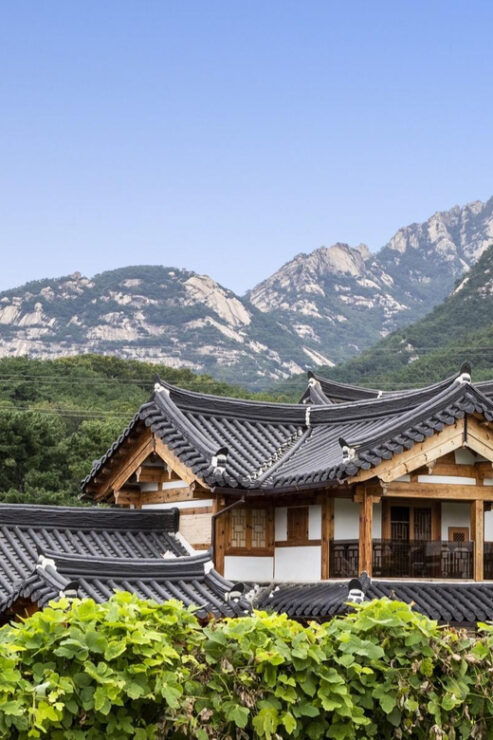 Seoul : Mt. Gamaksan & Hanok Village & Silver Grass Park - Itinerary Highlights