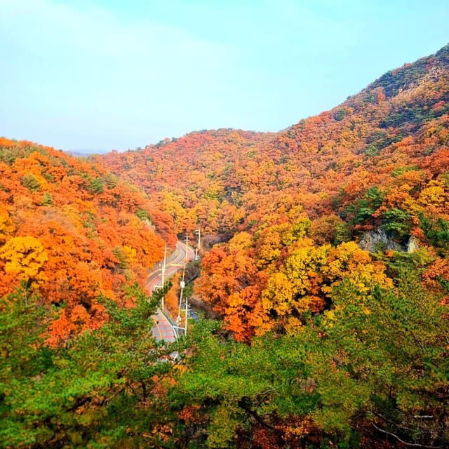 Seoul : Mt. Gamaksan & Hanok Village & Silver Grass Park - Experience at Haneul Park