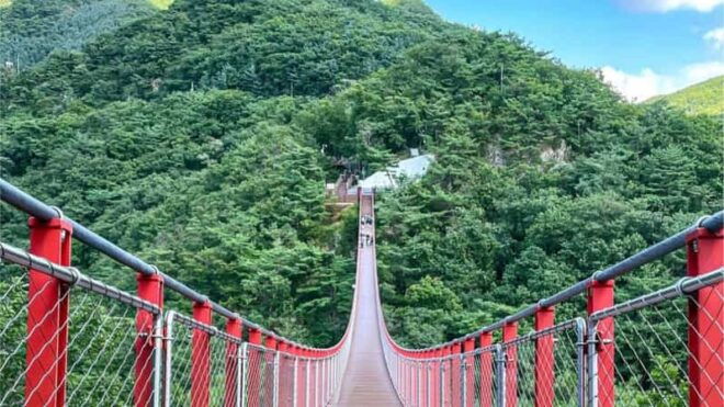 Seoul : Mt. Gamaksan & Hanok Village & Silver Grass Park - Exploring Eunpyeong Hanok Village