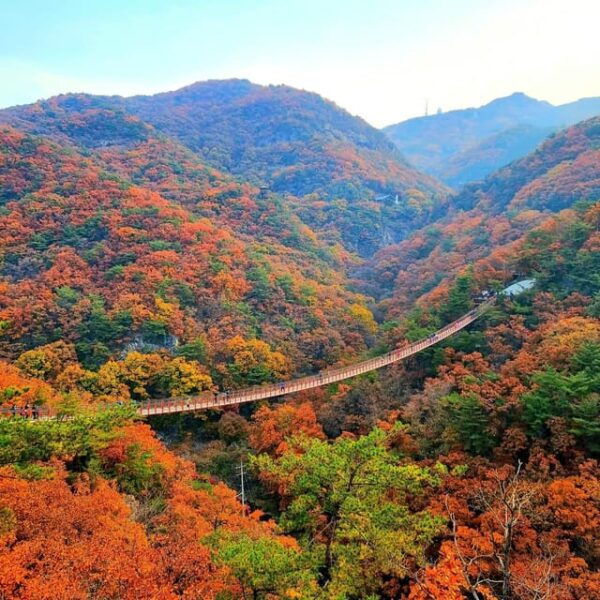 Seoul : Mt. Gamaksan & Hanok Village & Silver Grass Park - Tips for a Great Experience