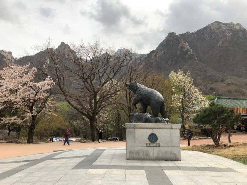 Seoul: Mt.Seorak and Cherry Blossom Lake 1 day trip - A Closer Look at the Itinerary