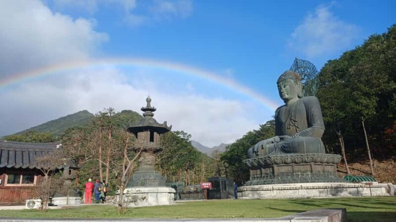 Seoul: Mt.Seorak and Cherry Blossom Lake 1 day trip - Why We Think This Tour Offers Great Value