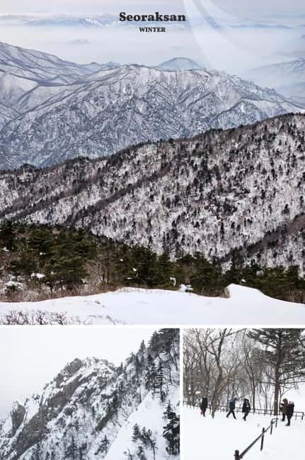 Seoul: Mt. Seorak & Nami Island & Eobi Ice Valley Day Tour - Good To Know
