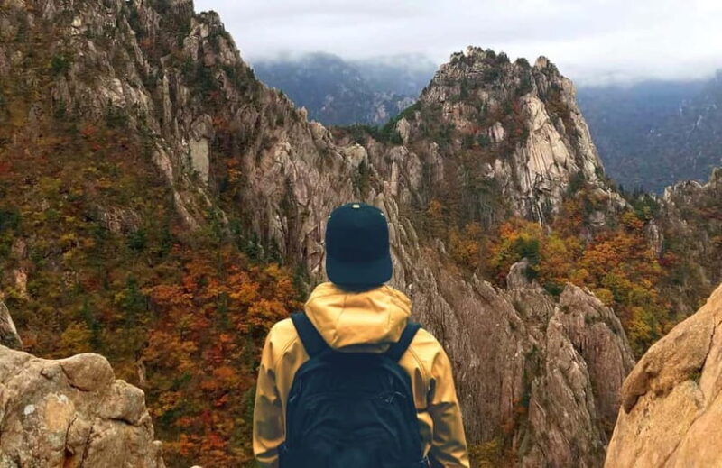 Seoul: Mt. Seorak & Nami Island & Eobi Ice Valley Day Tour - Good To Know