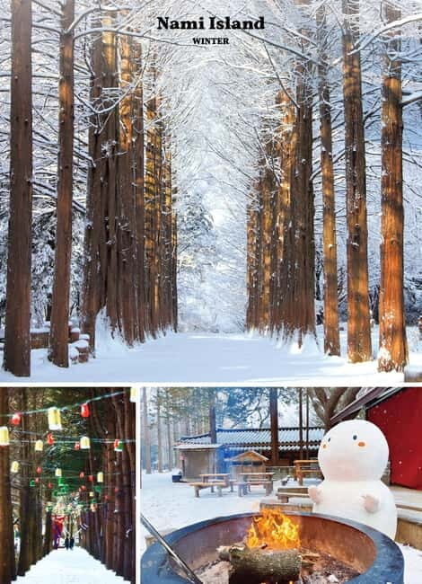 Seoul: Mt. Seorak & Nami Island & Eobi Ice Valley Day Tour - Who Will Love This Tour?