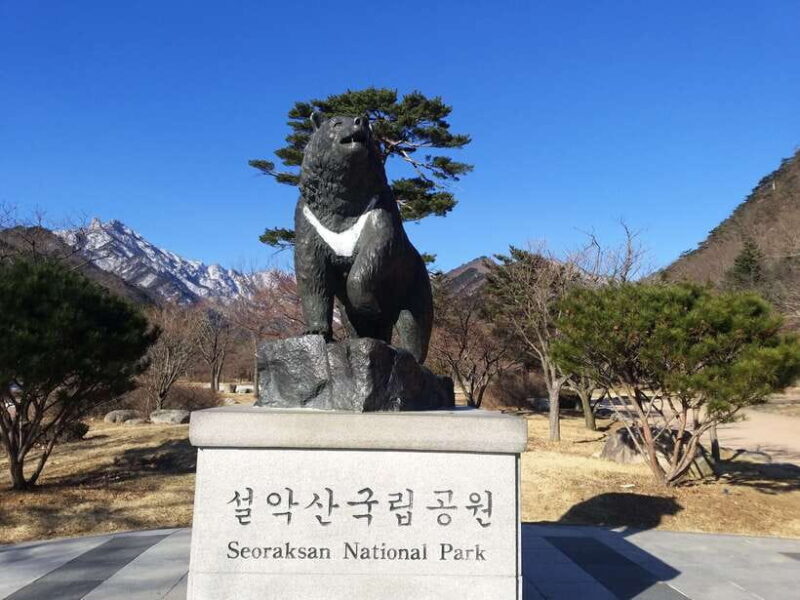 Seoul: Mt.Seorak, Nami Island & Korean Garden, No Shopping - Experience South Koreas Natural Wonders in a Single Day