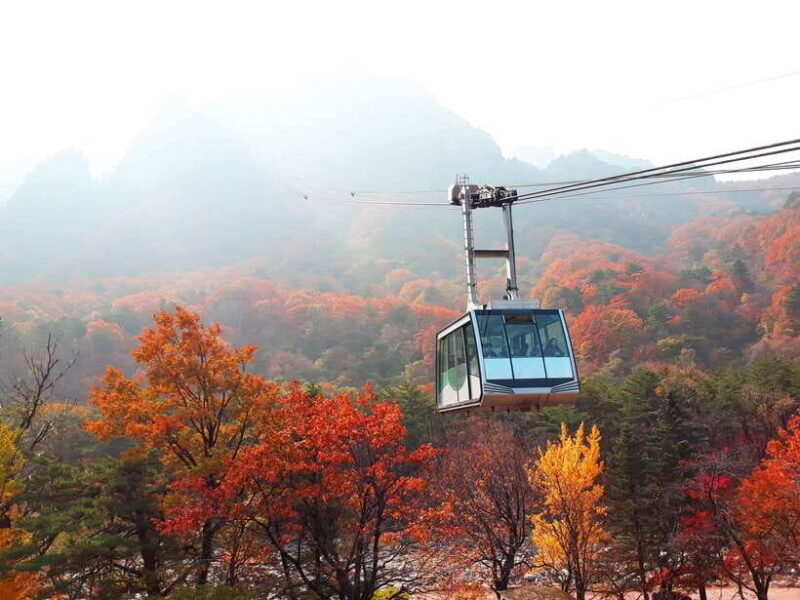Seoul: Mt.Seorak, Nami Island & Korean Garden, No Shopping - Good To Know