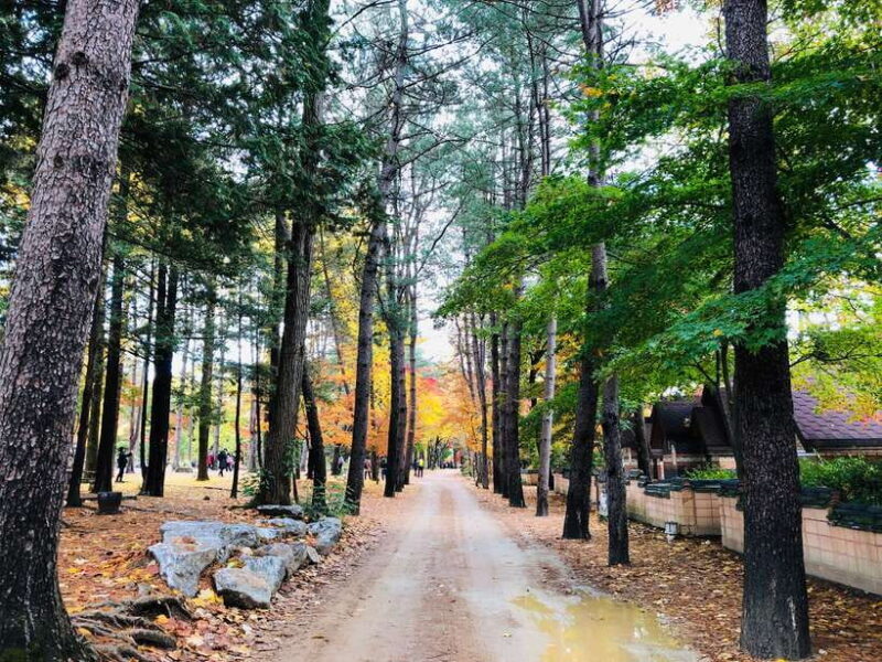 Seoul: Mt.Seorak, Nami Island & Korean Garden, No Shopping - The Garden of Morning Calm: A Floral Spectacle