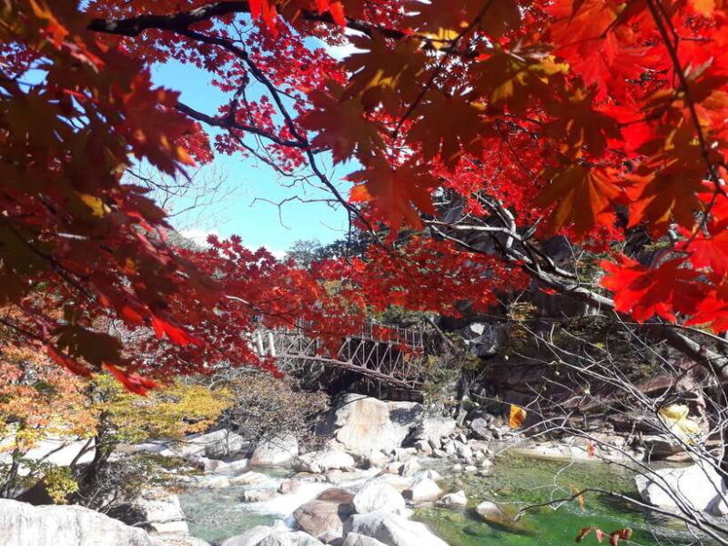 Seoul: Mt.Seorak, Nami Island & Korean Garden, No Shopping - Who Is This Tour Best For?