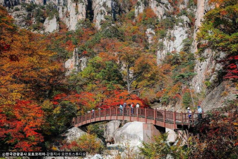 Seoul: Mt.Seorak, Nami Island, No Shopping(+RailBike Option) - What Makes This Tour Stand Out?
