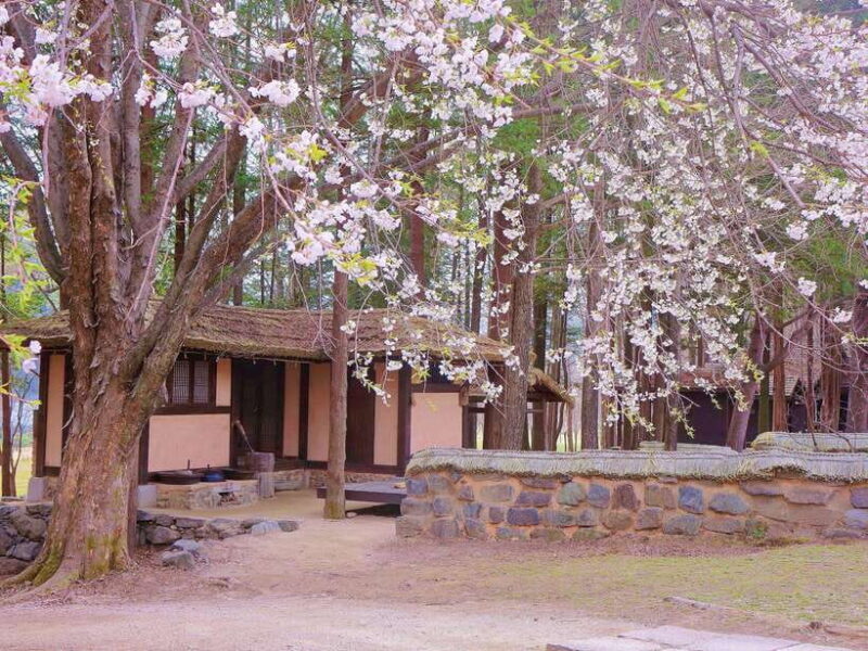 Seoul: Mt.Seorak, Nami Island, No Shopping(+RailBike Option) - Final Thoughts