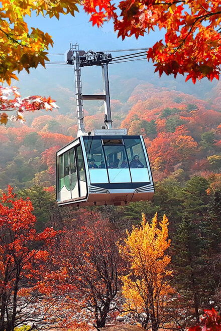 Seoul: Mt.Seorak, Nami Island & Rail Bike, No Shopping - Rail Bike Adventure