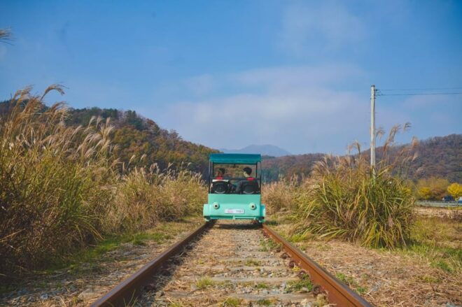 Seoul: Mt.Seorak, Nami Island & Rail Bike, No Shopping - Inclusions and Exclusions