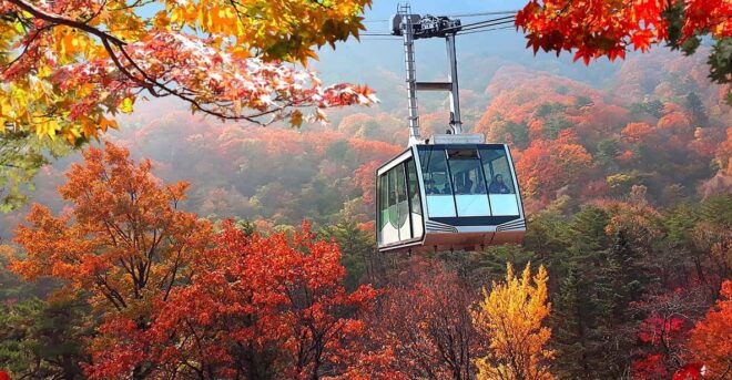 Seoul: Mt Seorak(Cable Car)+Sokcho Beach&Market+Observatory - Highlights and Experiences