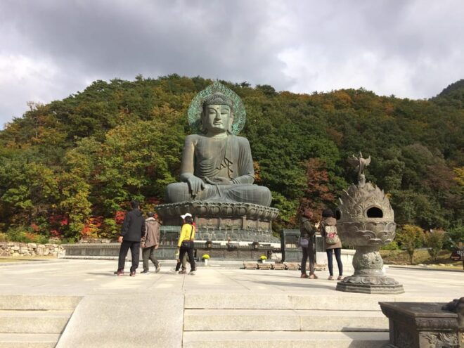 Seoul: Mt Seorak(Cable Car)+Sokcho Beach&Market+Observatory - Inclusions and Exclusions