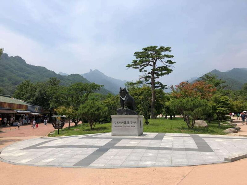 Seoul: Mt.Seorak(+CableCar Option)+Sokcho Fish Market&Beach - Good To Know