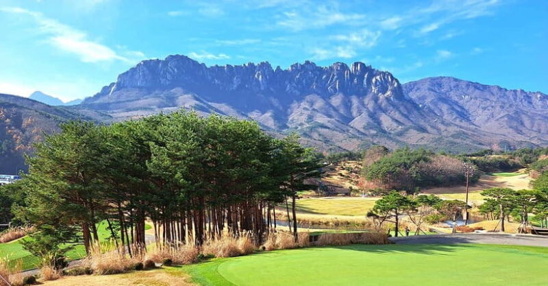 Seoul: Mt.Seorak(+CableCar Option)+Sokcho Fish Market&Beach - Practical Tips for Making the Most of Your Day Trip