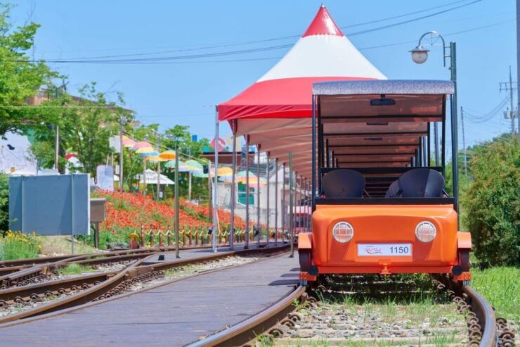 Seoul: Mt. Unak-Suspension Bridge/Nami(+Rail Bike) Tour - Transportation Details