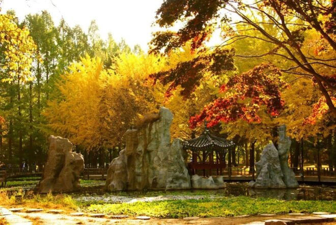 Seoul: Mt. Unak-Suspension Bridge/Nami(+Rail Bike) Tour - Accessibility Options