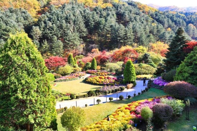Seoul: Nami Island and Garden of Morning Calm Day Trip - Optional Rail Bike Ride