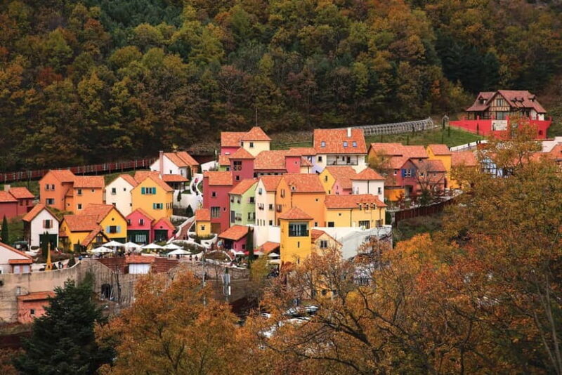 Seoul: Nami Island, Garden and Petite France (opt Railbike) - Authentic Experiences & Tips from Travelers