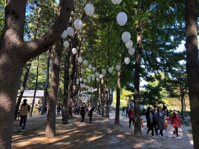 Seoul: Nami Island/Garden of Morning Calm Tour - Inclusions of the Tour