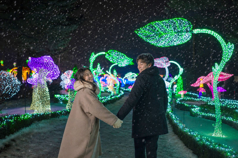 Seoul Nami Island, Garden & Rail Bike Day Tour - Is the price fair for what you get?