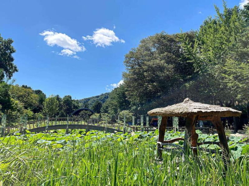 Seoul: Nami Island & Petite France Tour with Railbike Option - The Itinerary in Detail