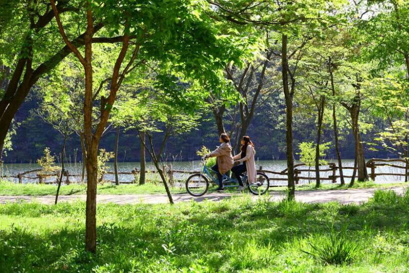 Seoul: Nami Island & Petite France Tour with Railbike Option - Value for Money & Practical Details