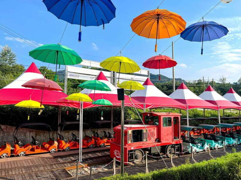 Seoul: Nami Island & Railbike & Begonia Bird Park Day Tour - Who This Tour Is Best For