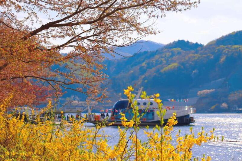 Seoul: Nami Island & Railbike & Begonia Bird Park Day Tour - Frequently Asked Questions