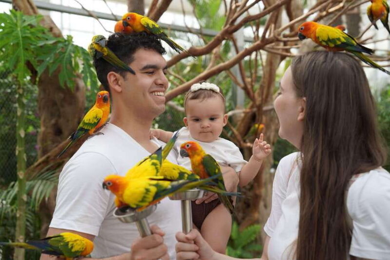 Seoul: Nami Island & Railbike & Begonia Bird Park Day Tour - What Makes This Tour Stand Out?