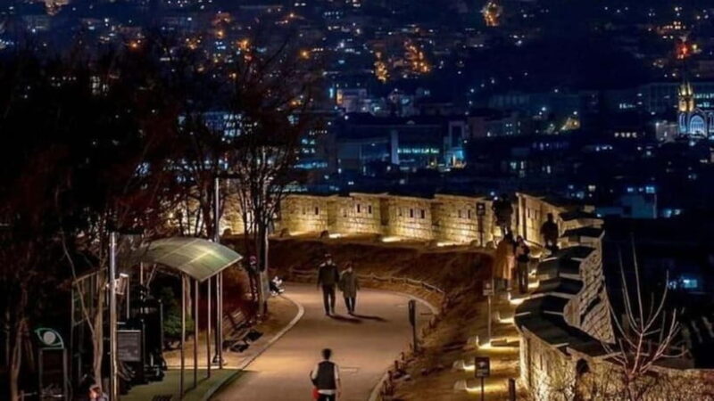 Seoul: Night Tour with Coffee and Market Visit - Authentic insights from reviewers