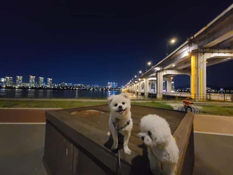 Seoul Night Views: Semi-Guided Audio Tour - Final Thoughts