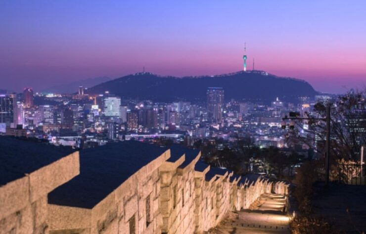 Seoul: Nighttime Tour of Palace, Market, Naksan Park & More - Tour Details