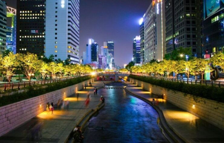 Seoul: Nighttime Tour of Palace, Market, Naksan Park & More - Tour Experience