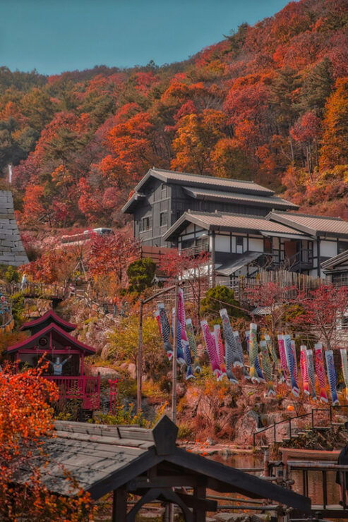 Seoul: Nijimori Japan(Day) & Nami Island & Korean Garden - Itinerary Details