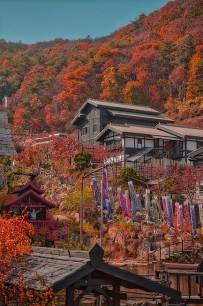 Seoul: Nijimori Japan(Day) & Nami Island & Korean Garden - Transportation and Logistics