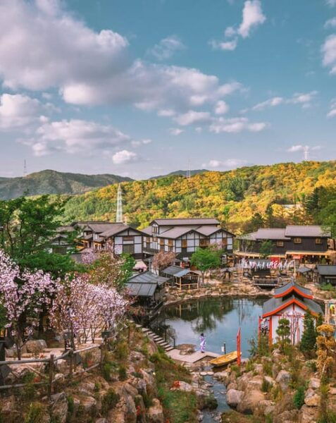 Seoul: Nijimori Japan(Day) & Nami Island & Korean Garden - Customer Feedback and Ratings