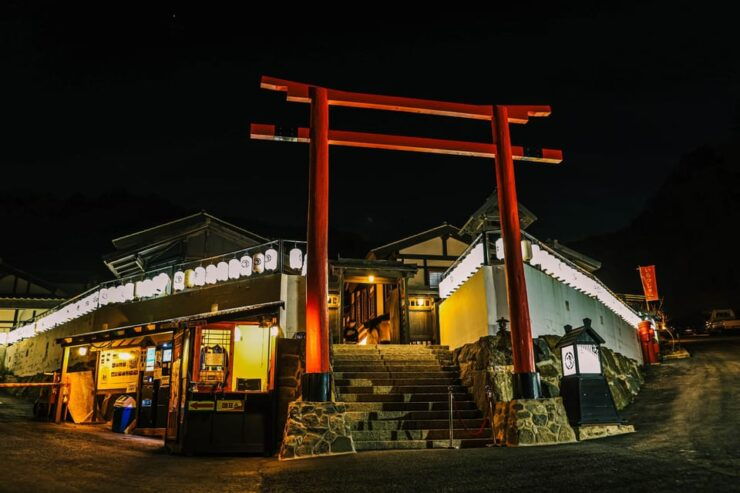 Seoul: Nijimori Japan(Night) & Nami & Alpaca & Petite France - Key Attractions