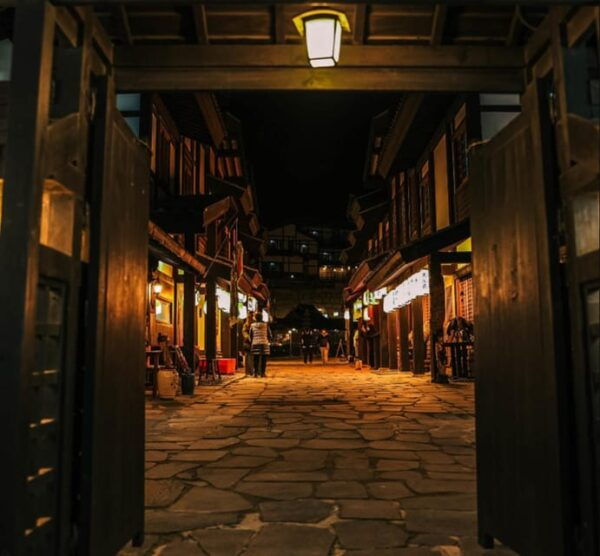 Seoul: Nijimori Japan(Night) & Nami & Alpaca & Petite France - Customer Feedback