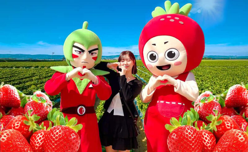 Seoul: Nonsan Strawberry & Cherry Blossom Season Experience - Good To Know