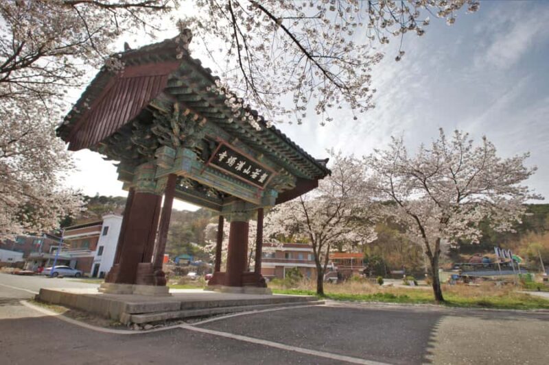 Seoul: Nonsan Strawberry & Cherry Blossom Season Experience - FAQ