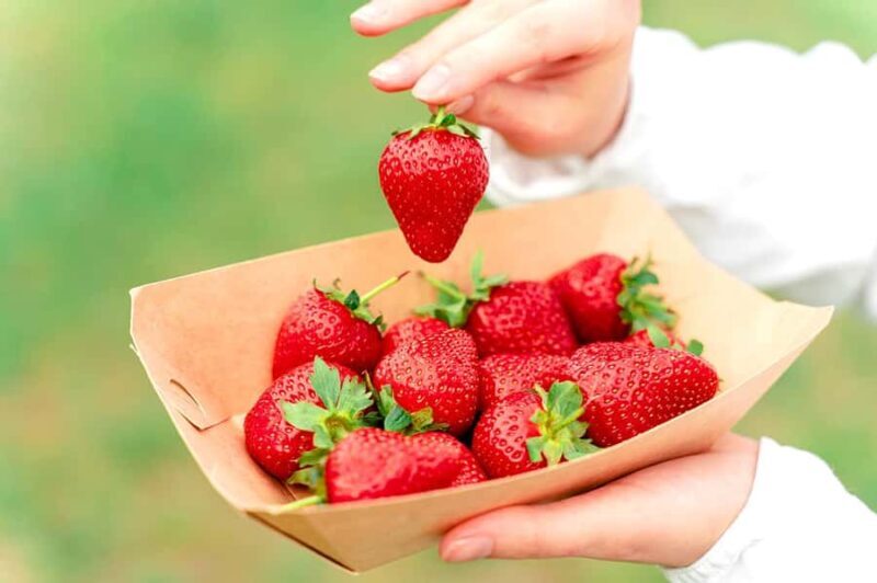 Seoul: Nonsan Strawberry & Cherry Blossom Season Experience - Exploring the Heart of Nonsan: A Springtime Journey