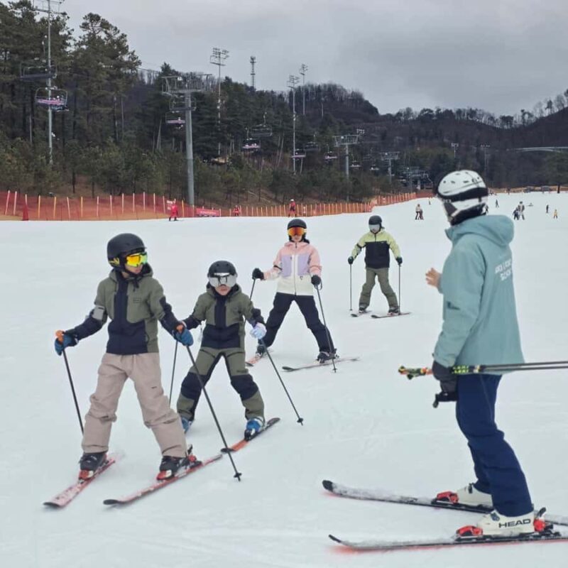Seoul: Oak Valley Private Ski Day Tour - Why Choose the Seoul: Oak Valley Private Ski Day Tour?